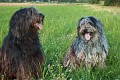 image_02__DSC0065